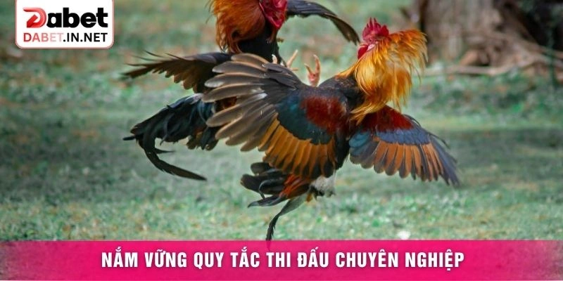Nắm vững quy tắc thi đấu chuyên nghiệp